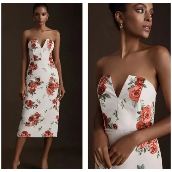 Sachin & Babi Dresses & Skirts - Sachin & Babi Anthropologie Nora‎ Rose Dress Strapless Floral White Red Womens 2
